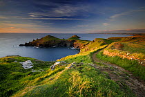 Footpath along The Rumps, Pentire Point, near Polzeath, Cornwall, UK  *NOT AVAILABLE FOR UK 2016 RETAIL CALENDARS.