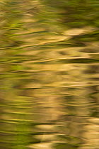 Abstract reflections in stream, Derbyshire, UK