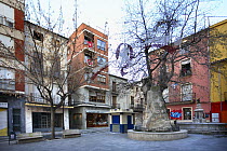 Very old specimen of an Oriental plane tree (Platanus orientalis) decorated with lights in town square, Plaza de Pallá, Ibi, Alicante, Spain