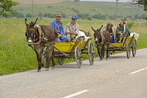 Donkey cart traffic on a country road in Bulgaria, 2006