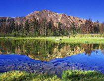 Fourth of July Lake with reflections, Sawtooth NRA, Idaho, USA