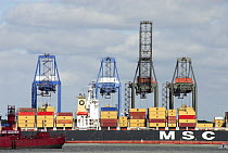 Container ship at dockyard with cranes, Felixstowe, Suffolk, England, UK
