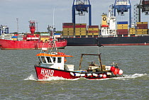 Small fishing vessel coming in to Harwich Port with Felixstowe container docks in background, Suffolk, England, UK