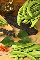 Home grown Runner Beans (Phaseolus sp.) in traditional country kitchen with rustic weighing scales, England, UK