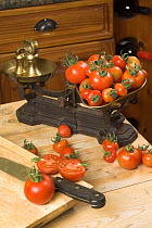 Home grown tomatoes (Solanum lycopersicum) with old-fashioned weighing scales in a traditional English country kitchen
