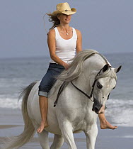 Woman riding grey Arabian stallion bareback on the beach, Ojai, California, USA, model released