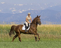 Woman riding Dutch Warmblood mare, Longmont, Colorado, USA, model released