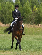 Woman riding Westfalen gelding practising the half pass dressage step, Longmont, Colorado, USA, model released
