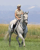 Woman riding grey thoroughbred gelding, Longmont, Colorado, USA, model released