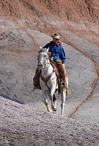 Cowboy riding over painted hills, Flitner Ranch, Shell, Wyoming, USA, model released