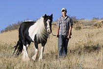 Boy leading Gypsy Cobb stallion, Berthoud, Colorado, USA, model released