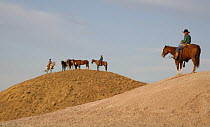 Two cowboys stand with horses, another cowboy on hill, Flitner Ranch, Shell, Wyoming, USA, model released