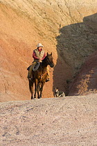 Cowboy, horse and dog on painted hills, Flitner Ranch, Shell, Wyoming, USA, model released