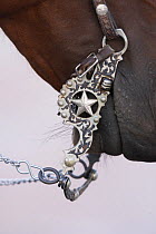 Fancy silver bit on horse bridle of cowboy, Flitner Ranch, Shell, Wyoming, USA