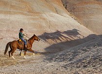 Cowboy chasing shadow horses, Flitner Ranch, Shell, Wyoming, USA, model released