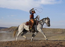 Cowboy riding horse whilst coiling rope lassoo, Flitner Ranch, Shell, Wyoming, USA, model released