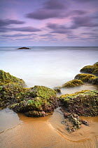 Rocks covered with seaweed at low tide, Playa (beach) de los Negretes, Calblanque, La Manga, Murcia, Spain - long time exposure