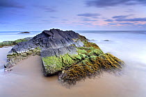 Rocks covered with seaweed at low tide, Playa (beach) de los Negretes, Calblanque, La Manga, Murcia, Spain- long time exposure