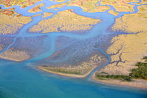 Aerial view of the Bay of Cadiz delta, Sancti Petri, Cádiz, Spain