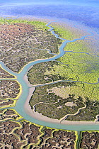 Aerial view of the Bay of Cadiz delta, Puerto de Santa María, Cádiz, Spain