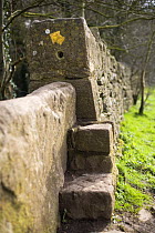Stone stile and yellow arrow footpath sign  on the Cotswold Way long-distance path at Westrip, Randwick, Gloucestershire, UK
