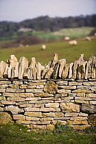Cotswold stone wall and countryside on the Cotswold Way, Broadway Tower, Gloucestershire, UK