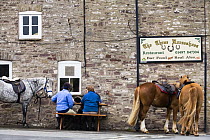 Horses and riders relaxing outside the Three Horseshoes Pub on a horse-riding holiday, Brecon Beacons National Park, Powys, Wales, UK, Model released