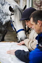 Horses and riders checking map outside the Three Horseshoes Pub on a horse-riding holiday, Brecon Beacons National Park, Powys, Wales, UK, Model released