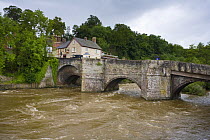 River Corve in spate at Ludlow, Shropshire after torrential rain of June 2007