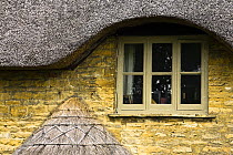 Thatch over  window of traditional Cotswold stone cottage, Kingham, Oxfordshire, UK