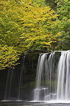 Waterfall along the Nedd Fechan at Pont Melin Fach, Brecon Beacons National Park, Powys, Wales