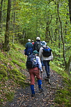 Walkers in waterfall country along the Nedd Fechan, Brecon Beacons National Park, Powys, Wales