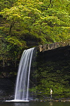 Sgwd Gwladus waterfall, Brecon Beacons National Park, Powys, Wales