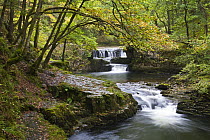 Scwd Ddwli waterfall on the Nedd Fechan, Brecon Beacons National Park, Powys, Wales