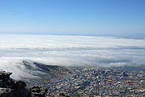 Aerial view of clouds rolling in off the sea to cover Cape Town at the base of Table Mountain, South Africa