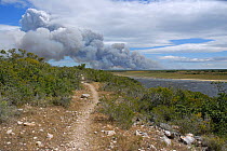 Smoke from fire caused by army flares in the fynbos, DeHoop Nature Reserve, Western Cape, South Africa
