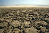 Mud patterns on the vast expanse of Aydingkol Lake, Xinjiang Province, North-west China. This is the second lowest point on earth at 154m below sea-level. August 2006, BBC "Wild China" series