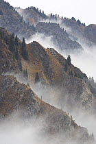 Mist shrouds the Tian Shan (Heavenly Mountains) in Xinjiang Province, North-west China. September 2006, BBC "Wild China" series