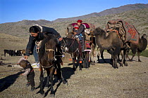 Kazakh family moving their camp in the Altai Mountains near Mongolian Border, Xinjiang Province, North-west China. September 2007, BBC "Wild China" series
