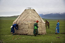 Mongolians constructing a yurt on their summer pastures at Bayanbulak, Xinjiang Province, North-west China. June 2006, BBC "Wild China" series