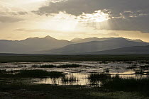 Dawn over Swan Lake (also known as Bayanbulakl) in Xinjiang Province, North-west China. June 2006, BBC "Wild China" series