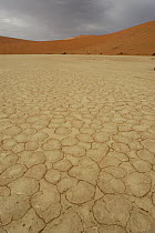 Dried up lake of Deadvlei, Namib Naukluft NP, Namib desert, Namibia
