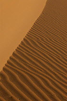 Ripples in sand dunes in the Namib-Naukluft NP, Namib desert, Namibia