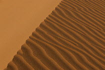 Detail of ripples in sand dunes in the Namib-Naukluft NP, Namib desert, Namibia