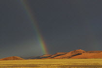Rainbow over sand dunes with dark rain clouds behind, Tsauchab valley, Namib-Naukluft NP, Namib desert, Namibia