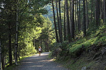 Woman hiking on a path in Madriu Valley Natural Park, Andorra