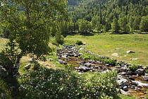 River flowing through Madriu Valley Natural Park, Andorra
