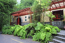 Information centre of Los Tilos in Las Nieves Natural Park, La Palma. Canary Islands, Spain