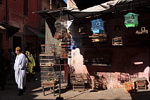 Pet shop in the district of the Melah in Marrakech, Morocco December 2007
