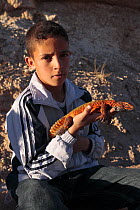 Boy holding a Moroccan spiny tailed lizard (Uromastyx acanthinurus nigriventris) in the High Atlas Mountains, Morocco   December 2007